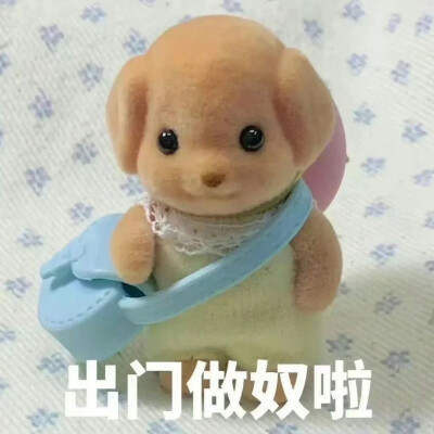 表情包
