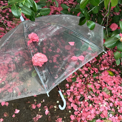 背景图