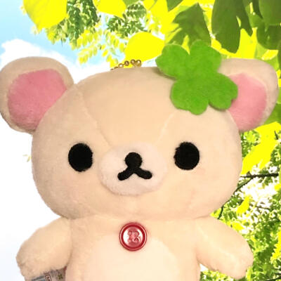 图源小红薯：猫蛋蛋大王