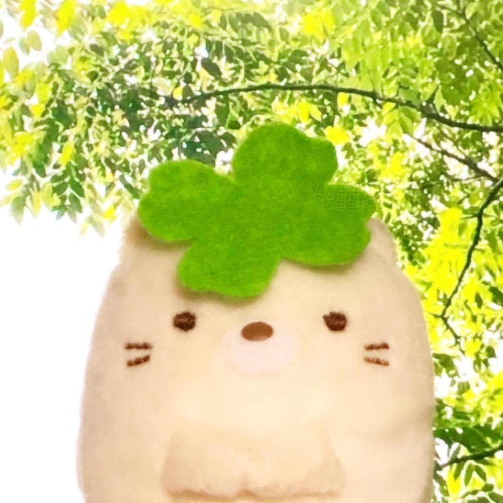 图源小红薯：猫蛋蛋大王