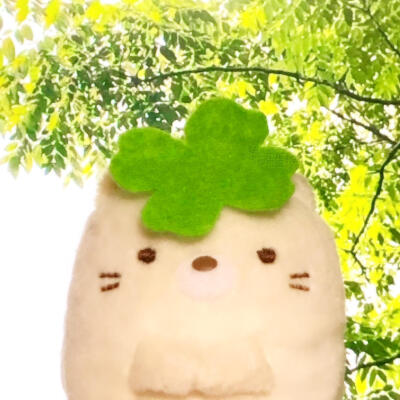 图源小红薯：猫蛋蛋大王