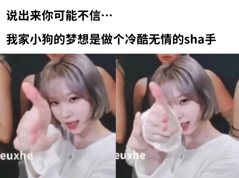 狗儿我的狗...
