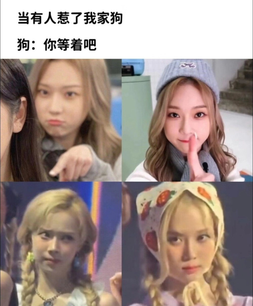 狗儿我的狗...