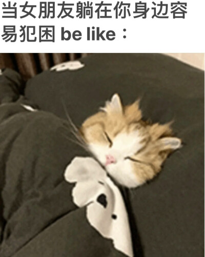 女友