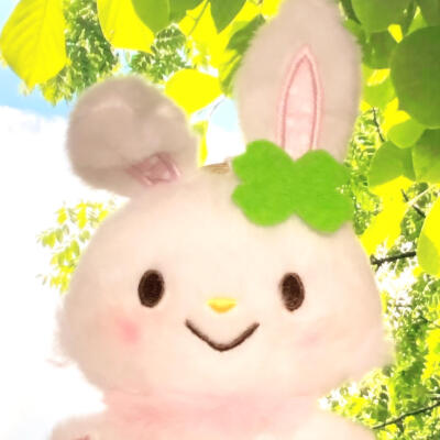 图源小红薯：猫蛋蛋大王