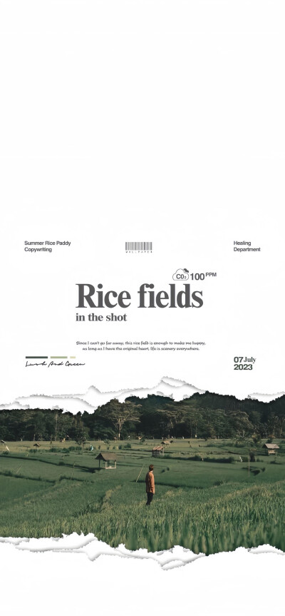 壁纸｜温柔风壁纸套图(๑˃̵ᴗ˂̵)
