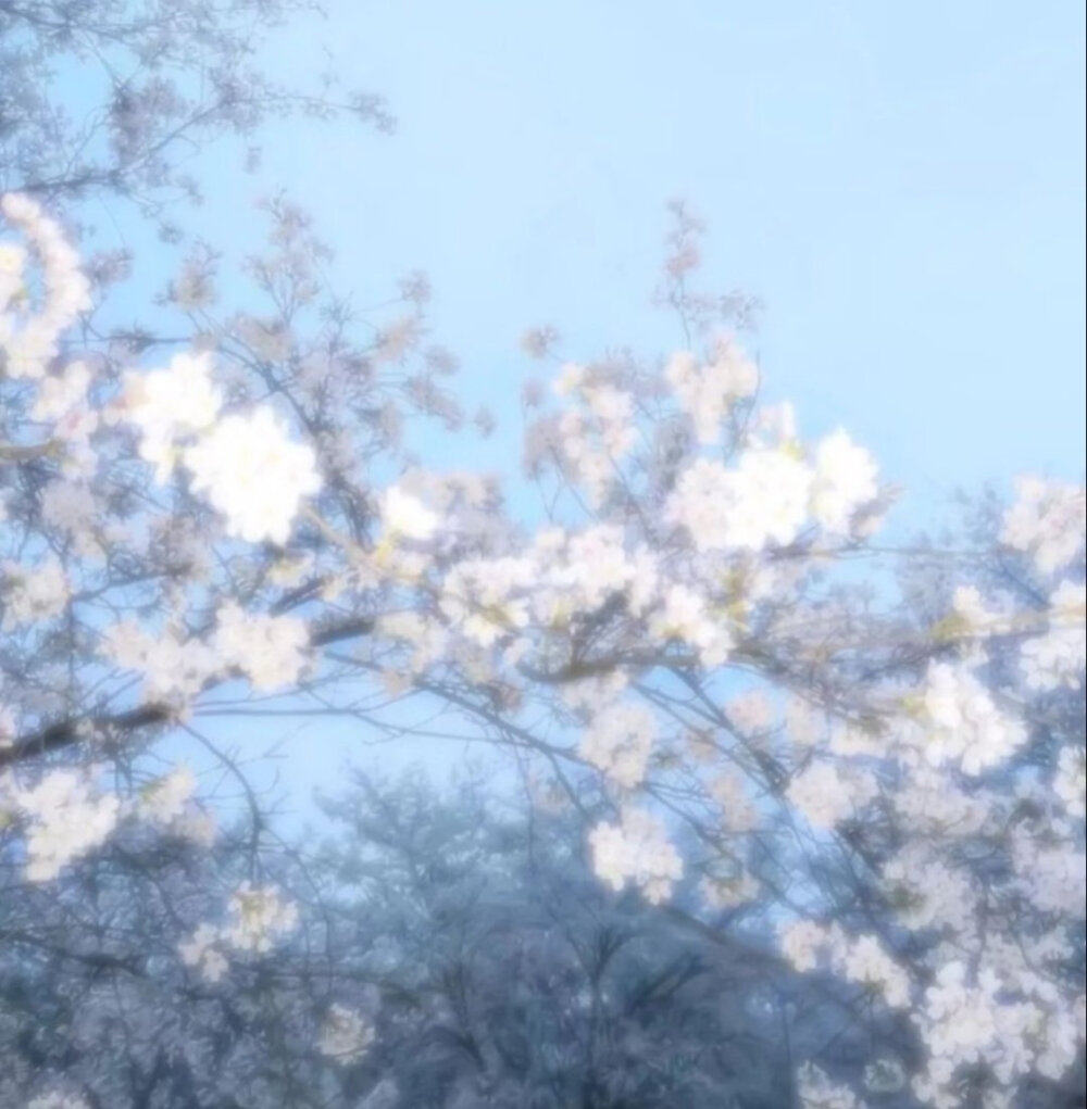 清澈的湖水反应真正的光辉