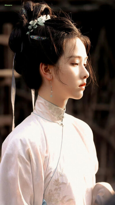 雁回时