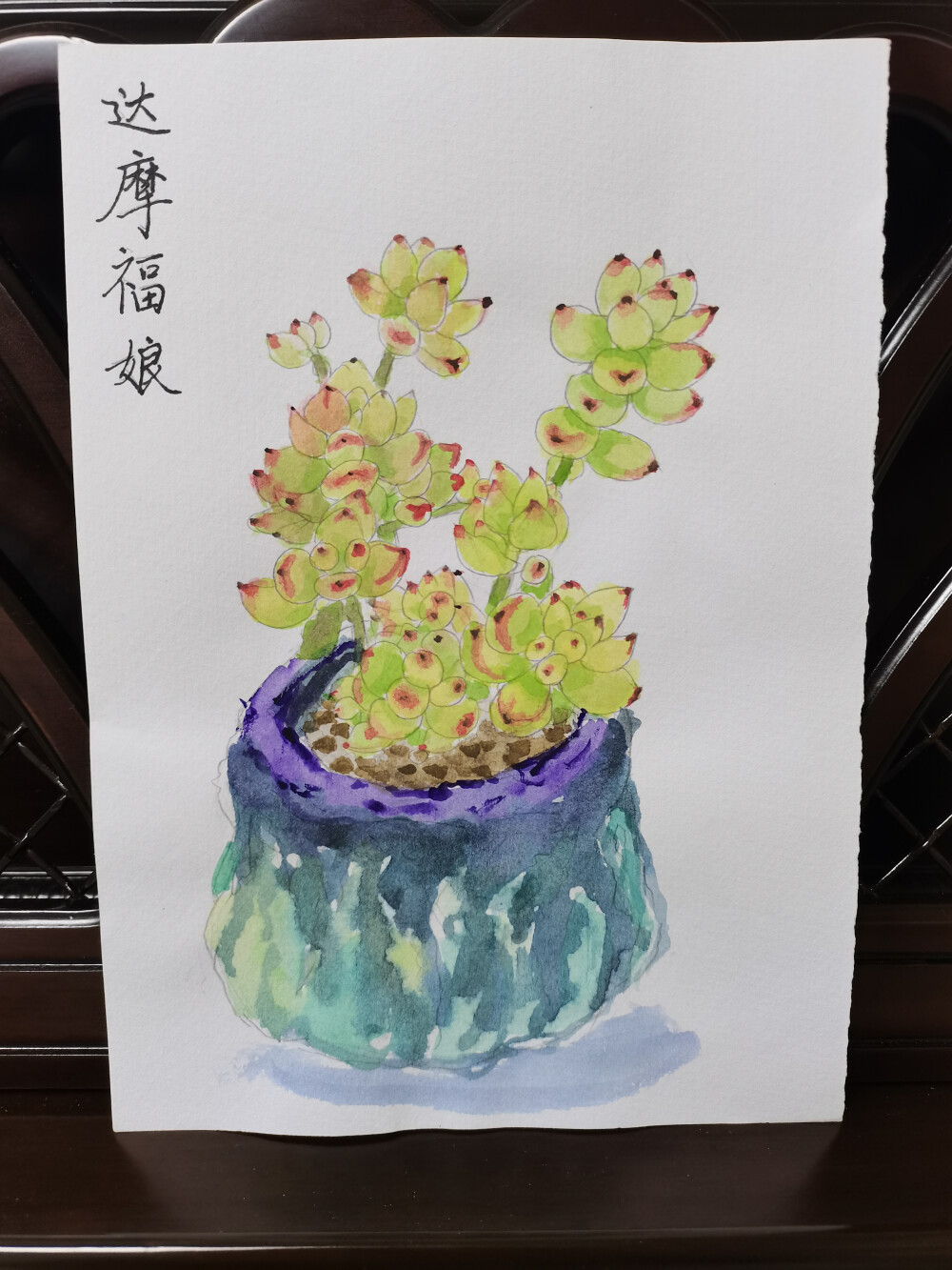 20 达摩福娘（绘画 | 水彩 | 果花甘02）
2018.05.25
如果它们变作人，那一定是精致的小姑娘。
珠圆玉润，长着没被生活欺负过的脸，气急了的时候会掉眼泪掉小珍珠。
达摩福娘，它们的叶子很精致，精致到总让人想起新疆的小白葡萄或者黄绿色葡萄，娇小玲珑，散发着被太阳晒过的独特的香味。
当时画这幅达摩福娘，画得比较满意的地方是花盆。一个充满艺术气息的大瓷罐，颜料顺着纹路流淌下来，很酣畅。
很想亲手做出一个这样的罐子。