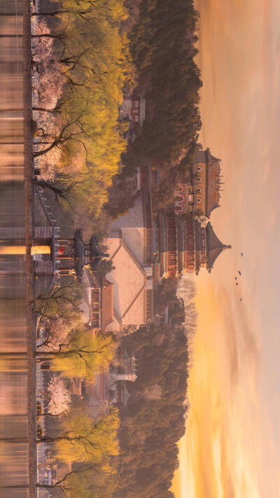 颐和园 小红薯©默存君