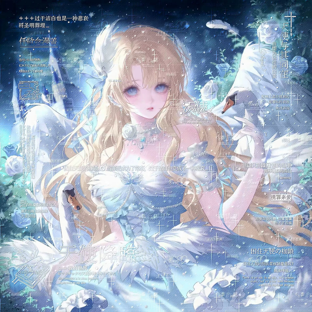 无署名