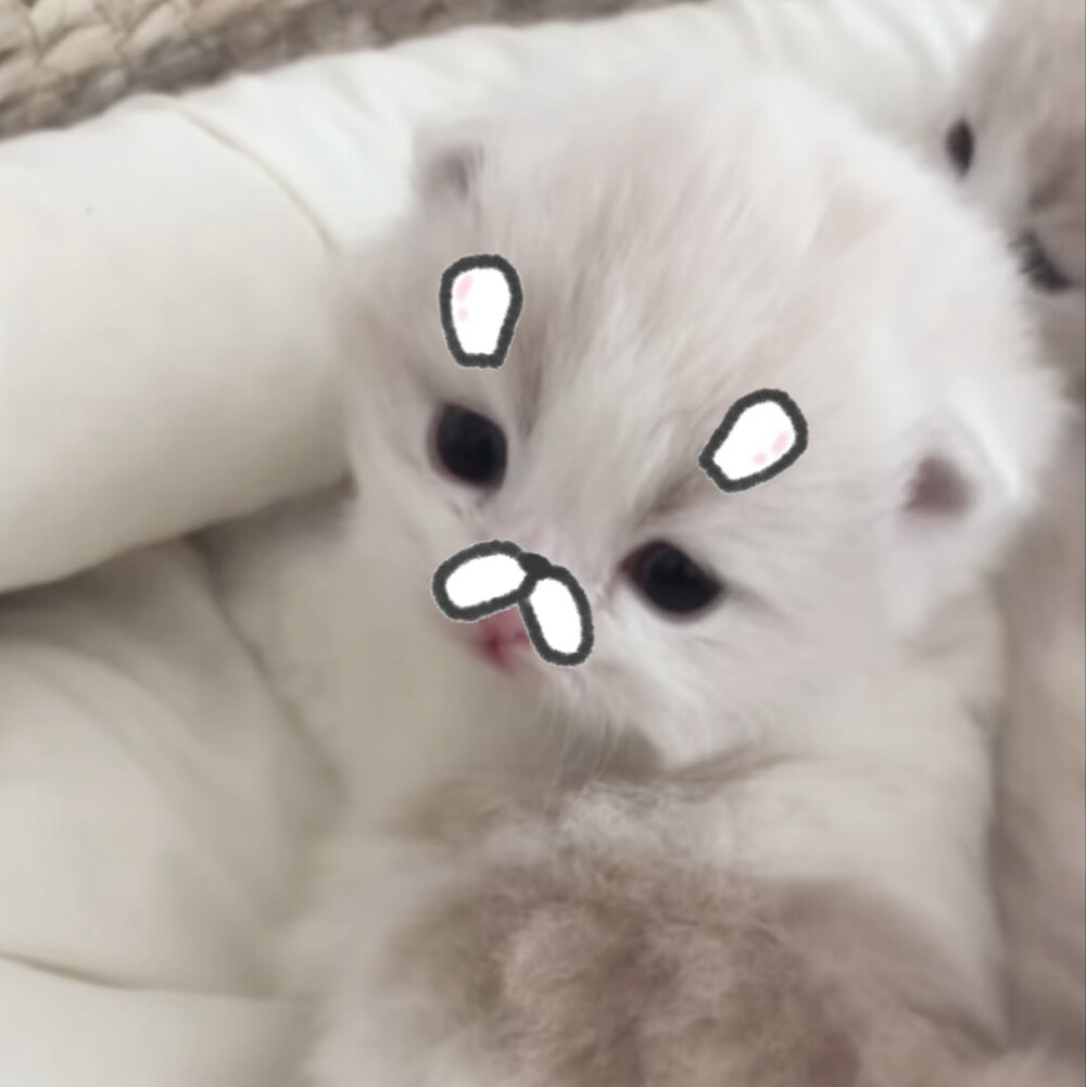 求真爱