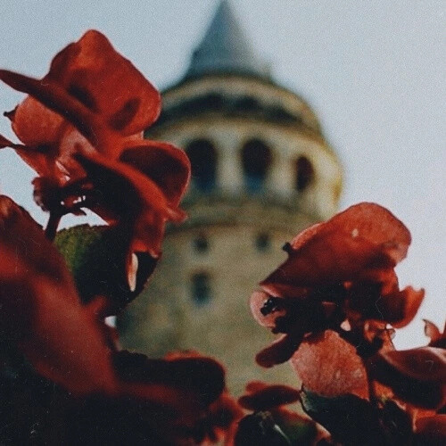 ♣