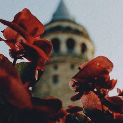 ♣