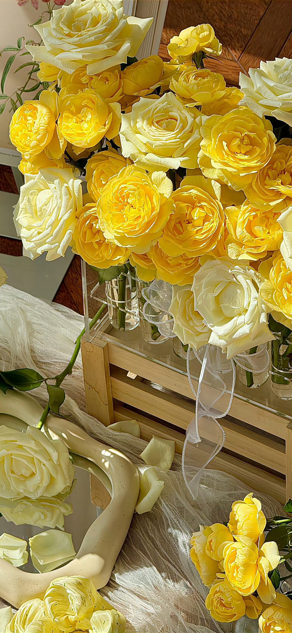 壁纸…·图源微博