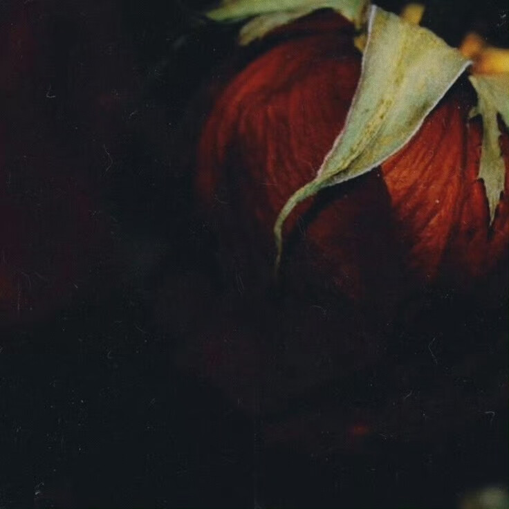 ♣