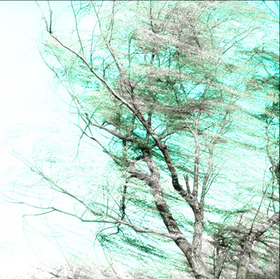 放学一起走好吗