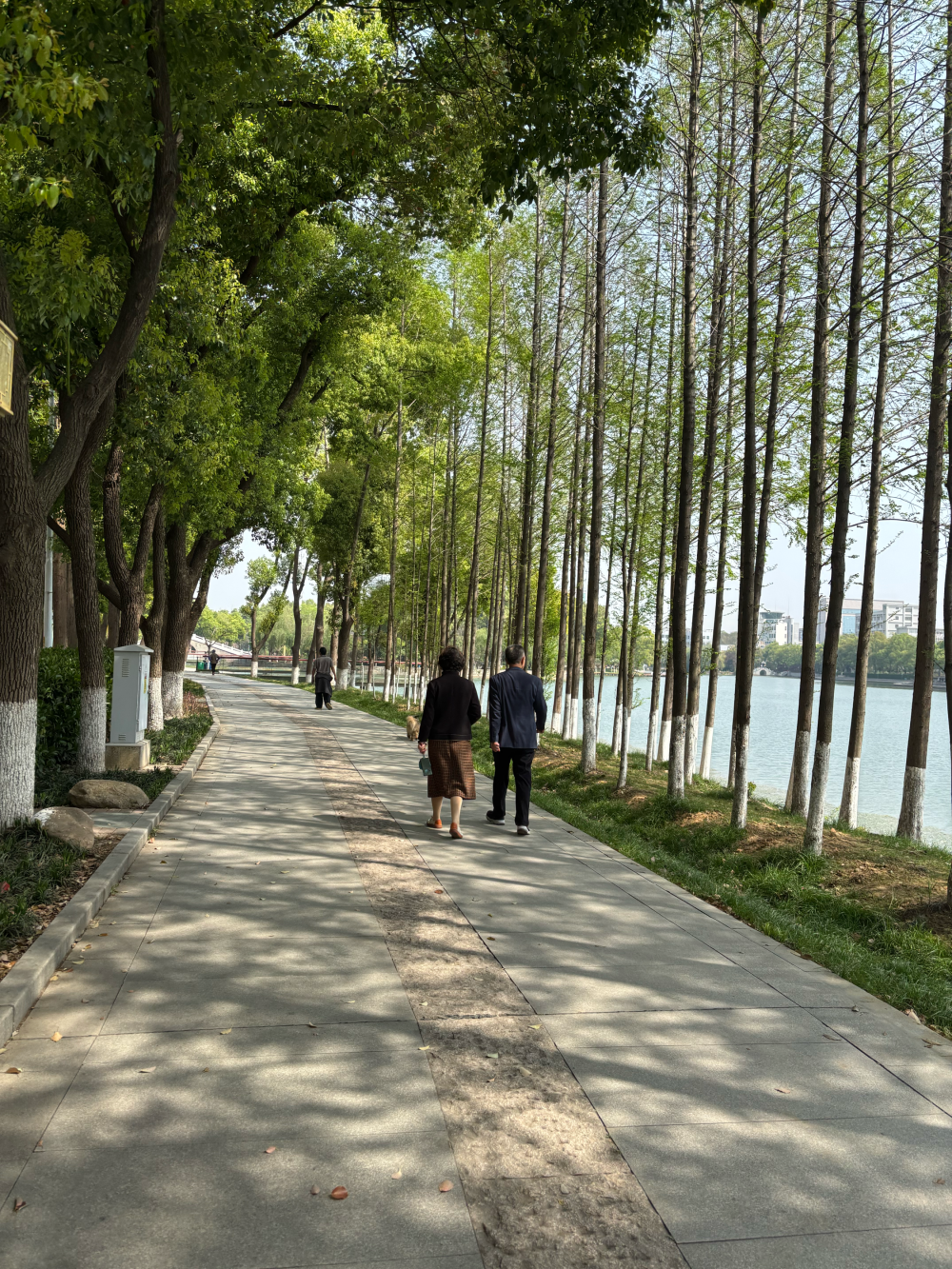 我用计算分秒的方式，与你抱紧四季。