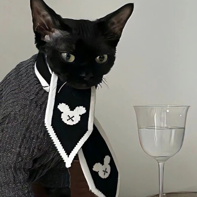 /