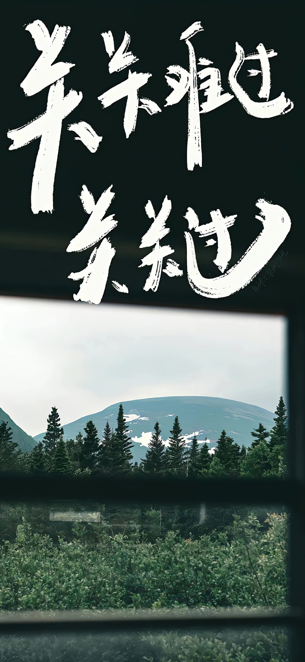 文字壁纸