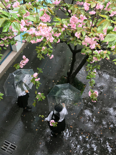 asa套图可二改