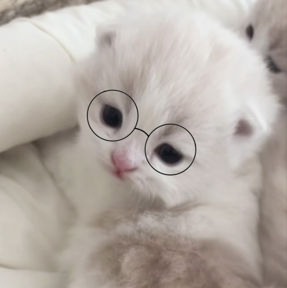 求真爱