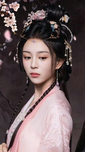 成凰录