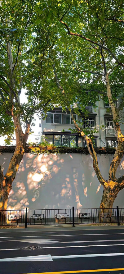 全屏壁纸