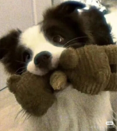 修勾头像