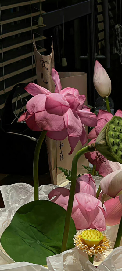 全屏壁纸