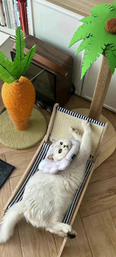 全屏壁纸