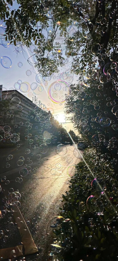 全屏壁纸