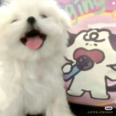 修勾头像