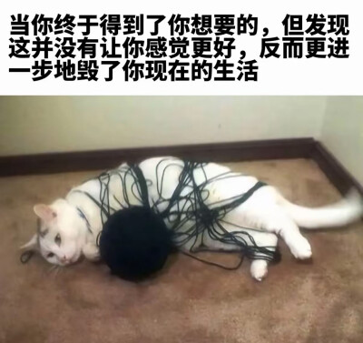 简介