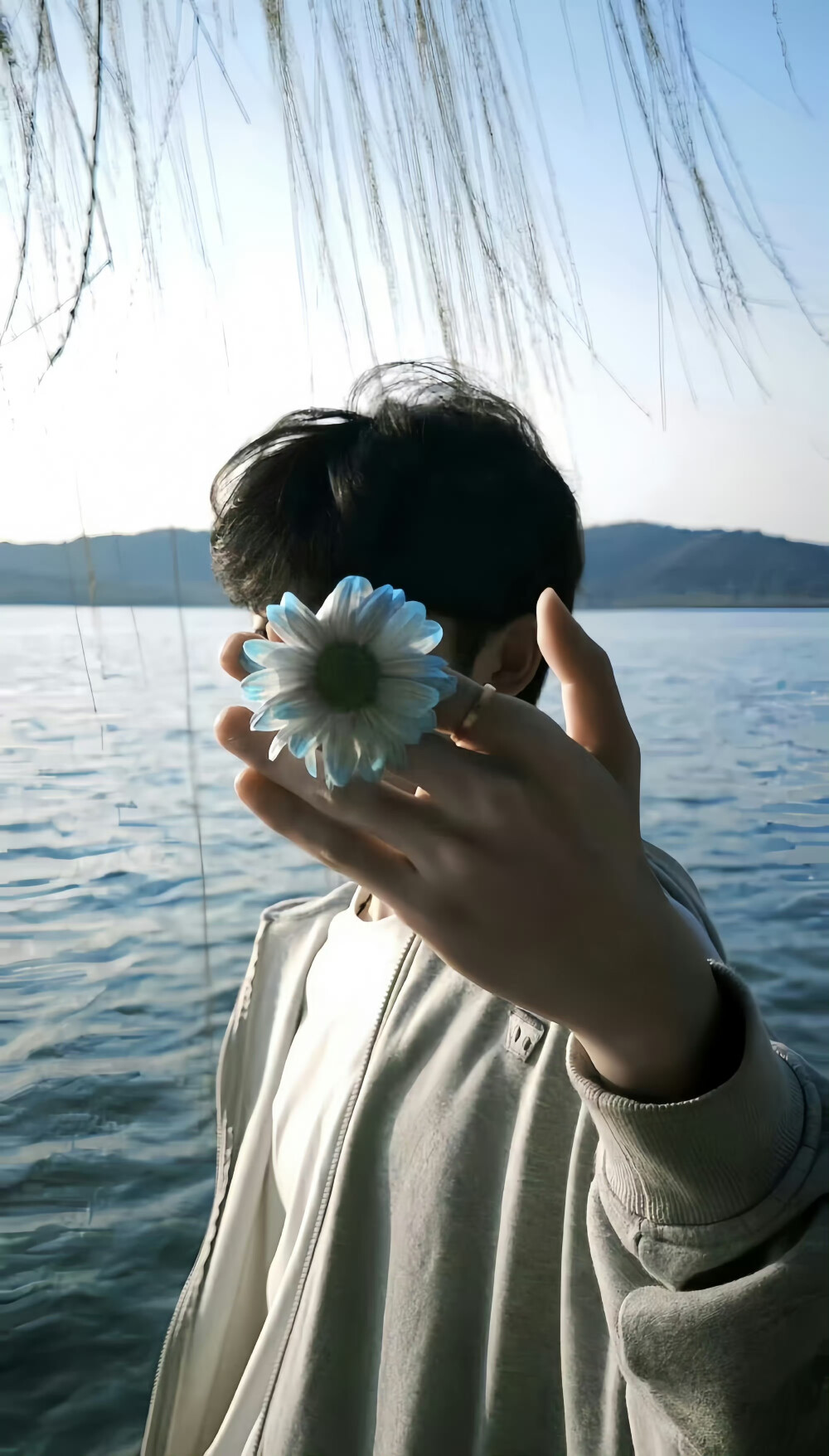 壁纸