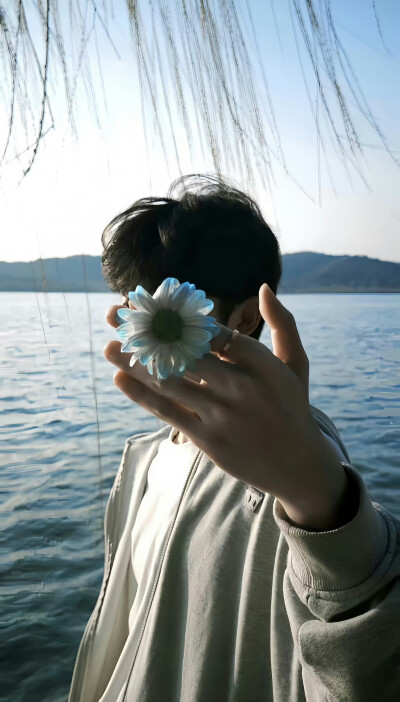 壁纸