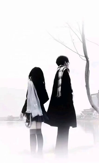 壁纸