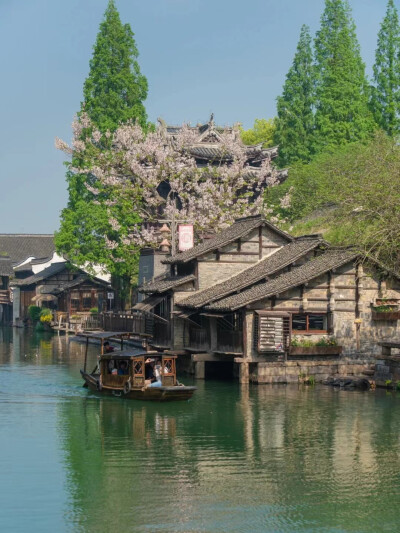 如果江南是本书，乌镇一定是它的封面，青水白墙灰屋檐妥妥的江南水乡风韵