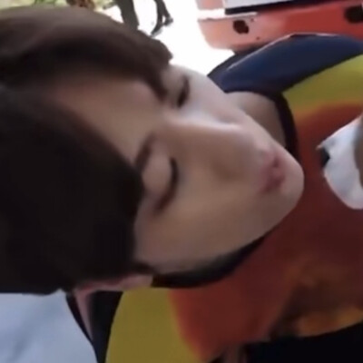 此狗