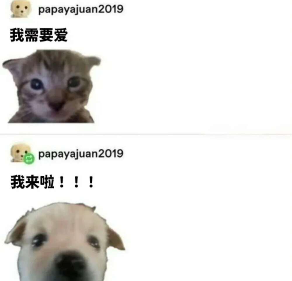 简介
