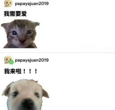 简介
