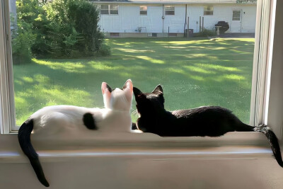 朋友圈背景图 壁纸