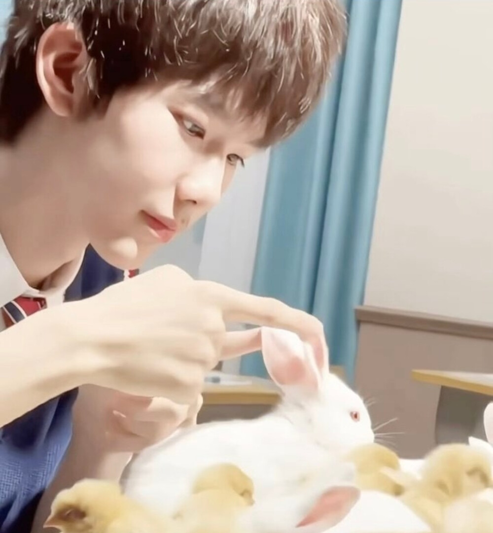 这个好萌但是不能上头