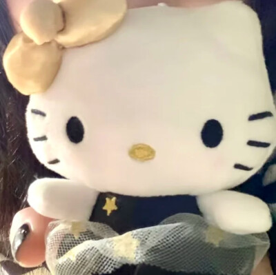HelloKitty情头₍˄·͈༝·͈˄*₎◞ ̑̑对象不是人系列