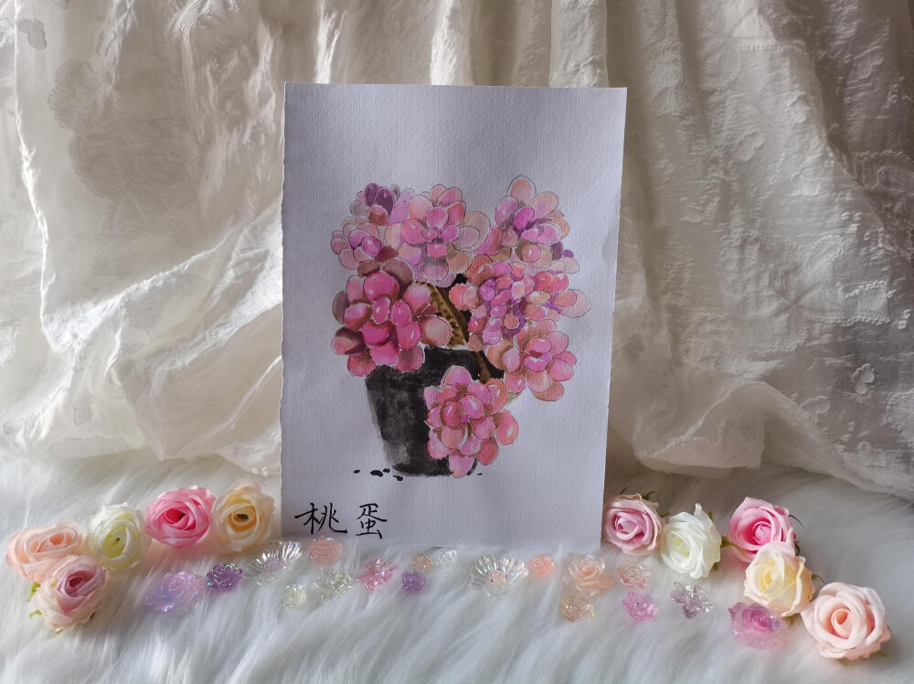 21 桃蛋（绘画 | 水彩 | 果花甘02）
2018.05.25
淡淡的粉色，淡淡的紫色，雾气一样笼罩在纸上。
看别人画画，听到一个新词“空间感”。在画面上拉开远近距离，用虚实表现远近。
于是画这幅画的时候，特意将后面的部分处理画得很淡很浅。远看像隔了一层雾气，淡粉和淡紫色，带着浅浅香味的雾气。
这个时候还不知道色调统一。叶根深处依旧用了暖色，显得有些凌乱。如果使用冷色，比如蓝或紫色就更合适了。
整体画面有些粗糙，毕竟是刚开始晕染这种丛生的植物，边缘处理得比较粗糙，冷暖色关系也不太对看起来不精致。进步的地方是虚实有概念了，空间感和空气有强调出来。