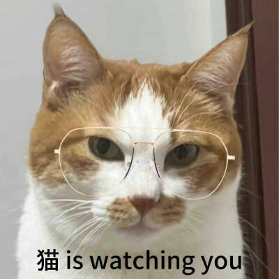 一些头像