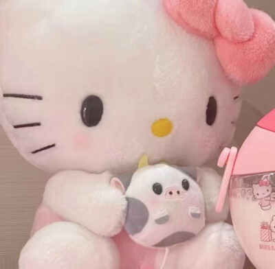 HelloKitty情头₍˄·͈༝·͈˄*₎◞ ̑̑对象不是人系列