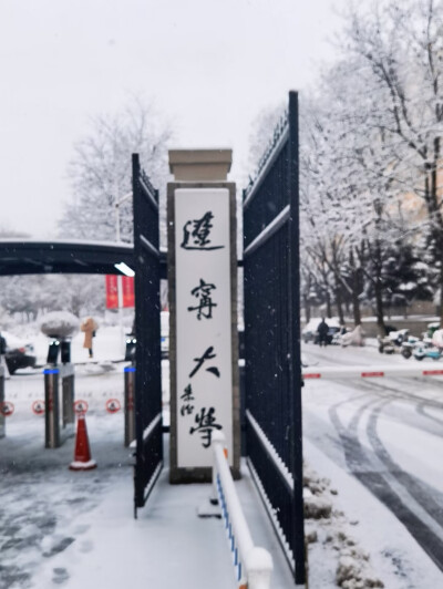明年要去辽大看雪！
