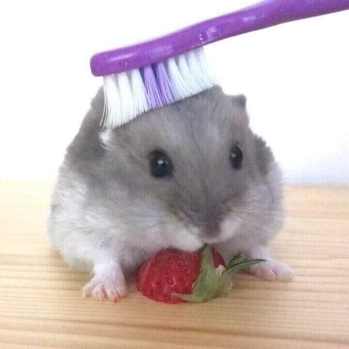 .