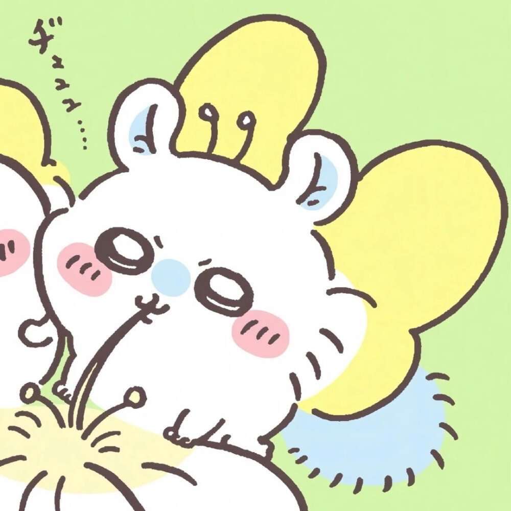 吉伊卡哇双人头